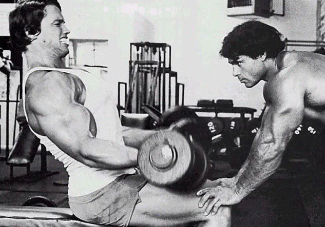 Arnold Workout