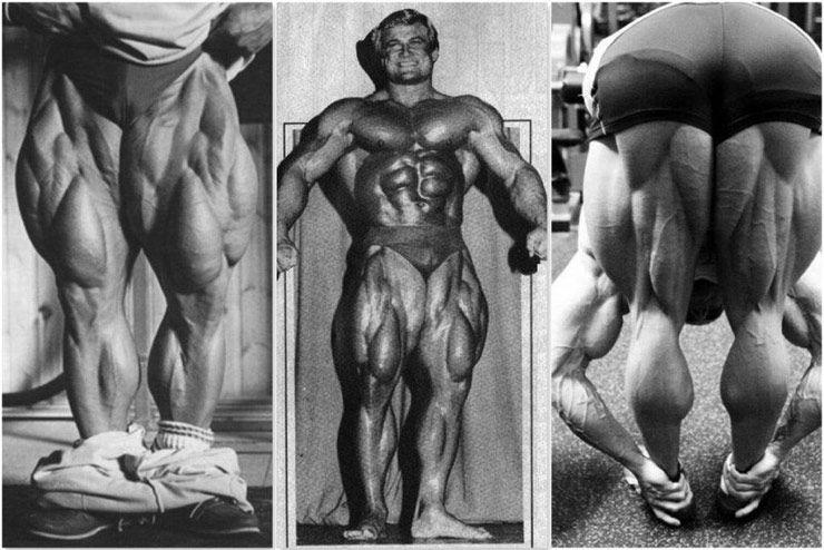 Greatest Legs The World Of Bodybuilding