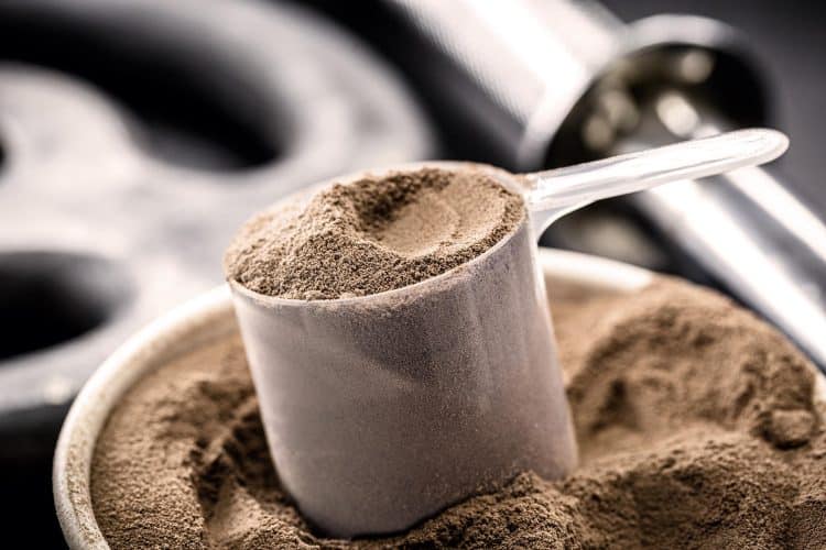 Protein Powdered Supplements