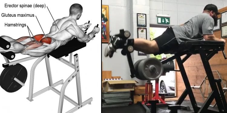 Reverse Hyperextension Guide