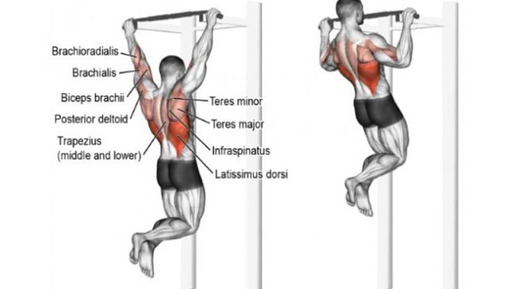 Wide grip pull-ups