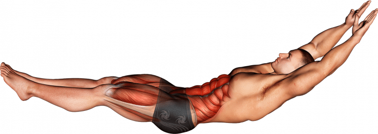 Hollow Hold Muscle Worked